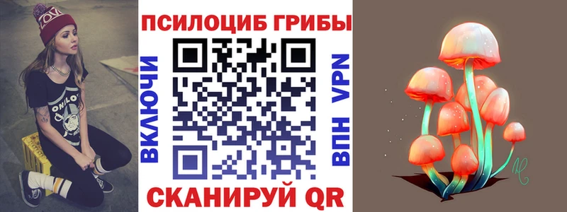 Псилоцибиновые грибы Cubensis  mega как зайти  Енисейск  наркота 